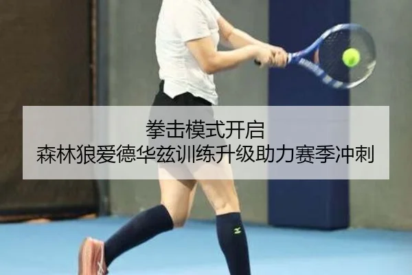 拳击模式开启 森林狼爱德华兹训练升级助力赛季冲刺
